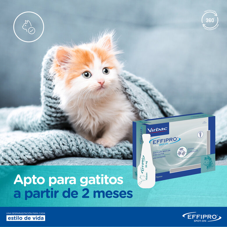 Effipro Pipetas Antiparasitárias para gatos, , large image number null